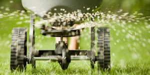 Overseeding Services for Greenwood and Indianapolis Indiana Homeowners