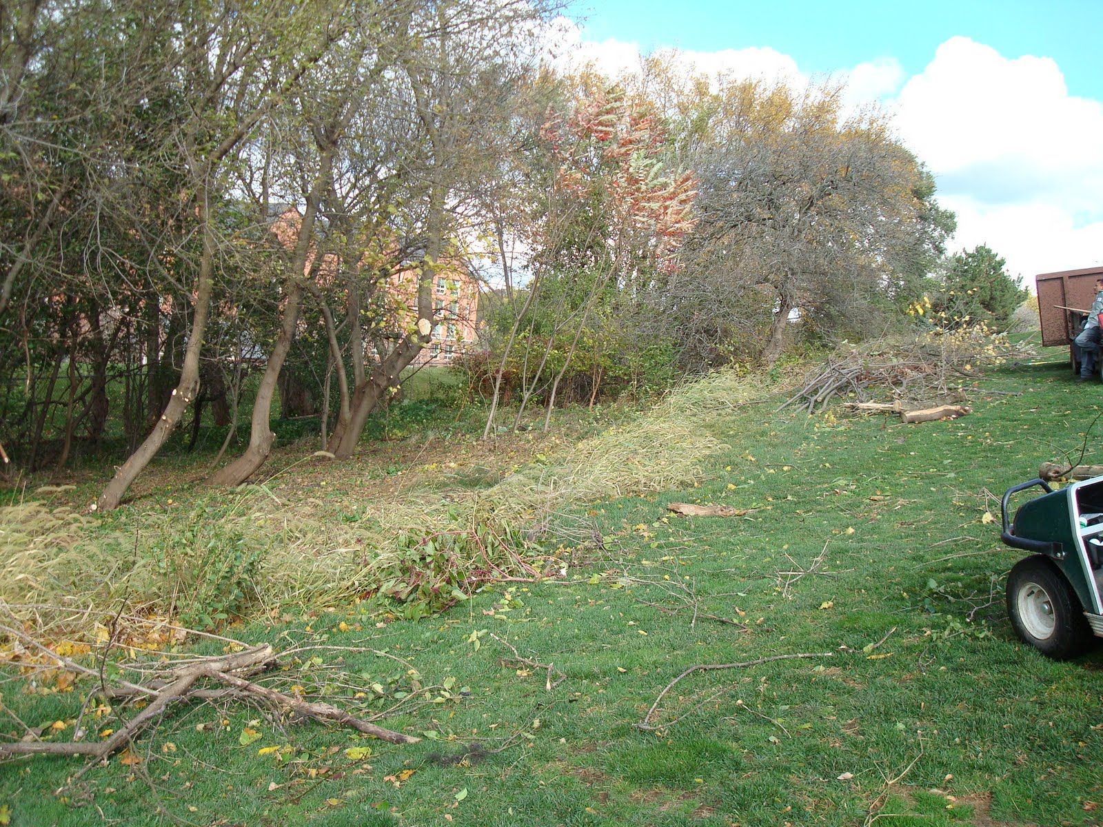 Indianapolis Land Clearing Precision Cut Lawn Service