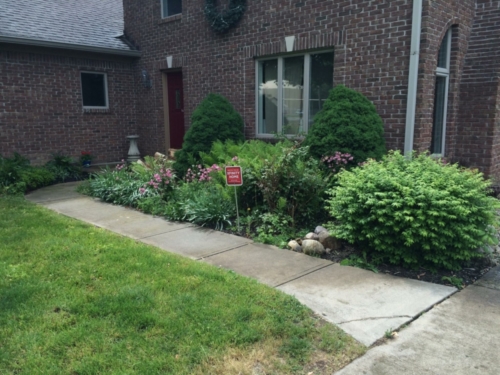 What Makes Lawn Care Stand Out in Southfield, MI